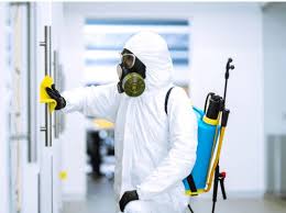 مكافحة الحشرات الآمنة