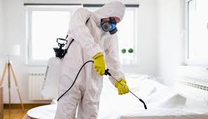 مكافحة الصراصير والنمل