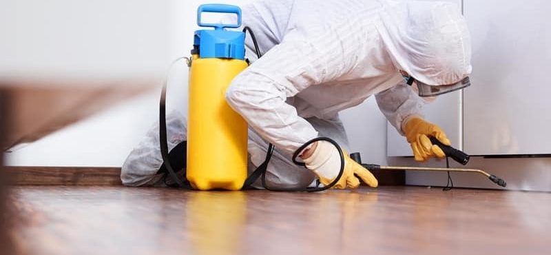 مكافحة الحشرات